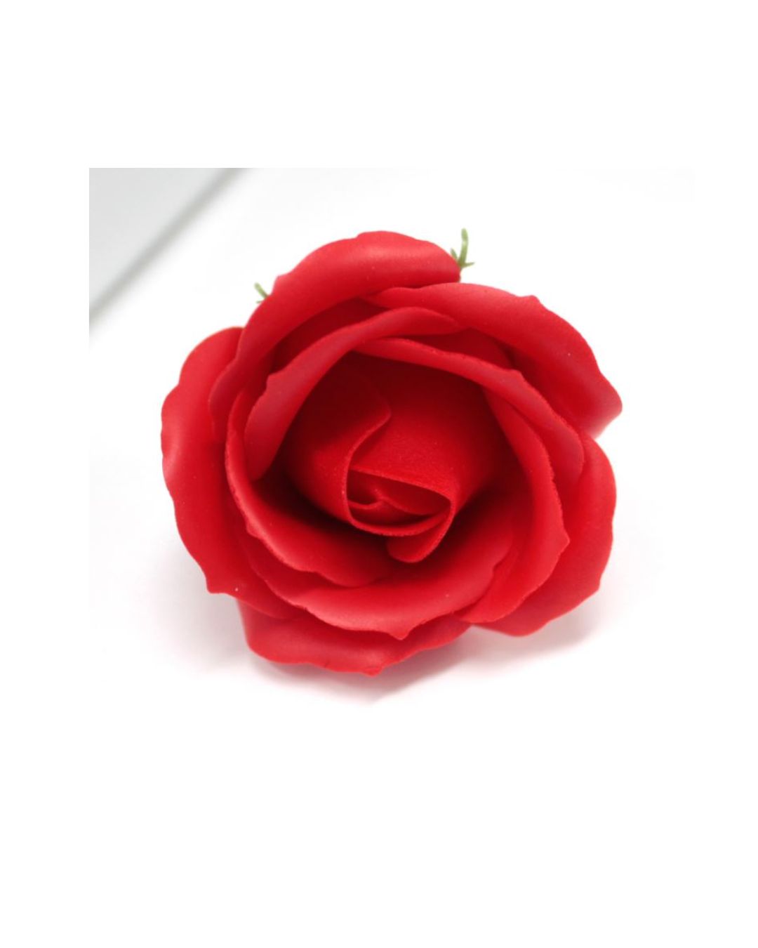 Red Soap Rose