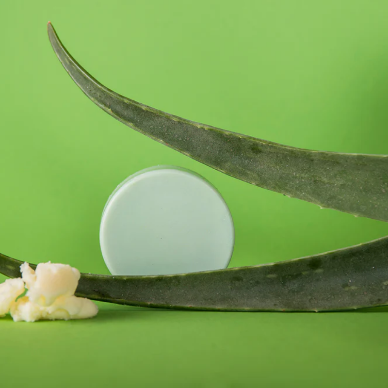 Aloë Vera Love Conditioner Bar
